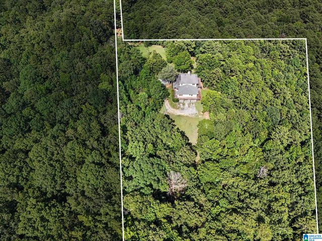 455 CHELSEA RIDGE LANE, Columbiana, AL 35051