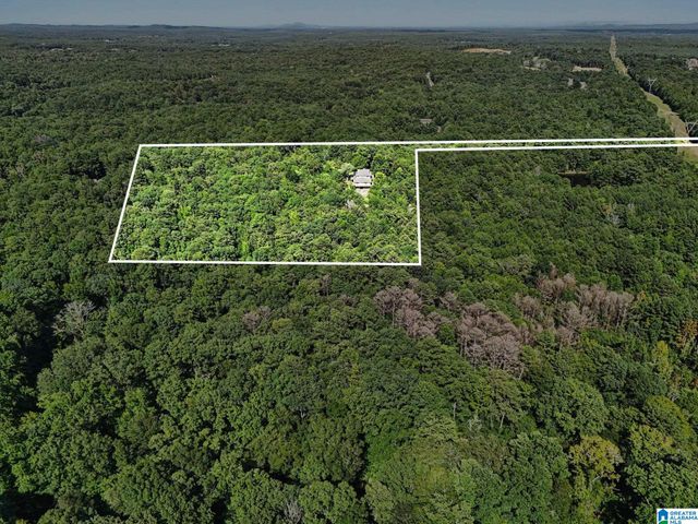 455 CHELSEA RIDGE LANE, Columbiana, AL 35051