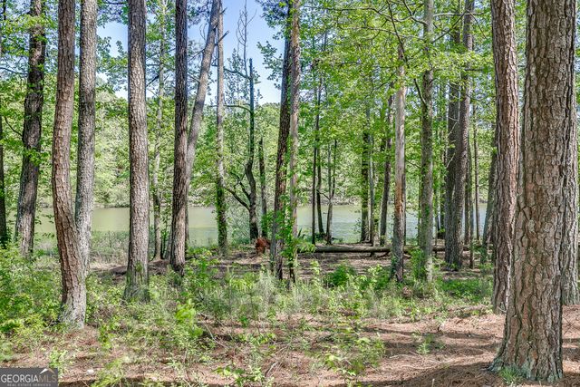 2930 Aquitania Lane, Cumming, GA 30040