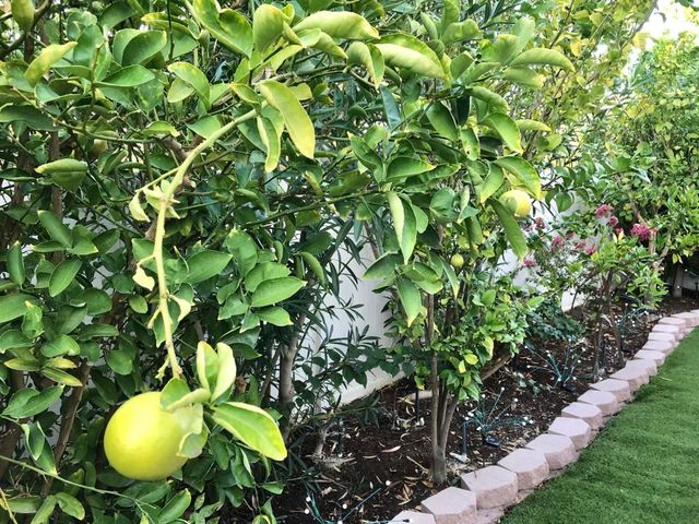 74711 Dillon Rd Spc 1017, Desert Hot Springs, CA 92241