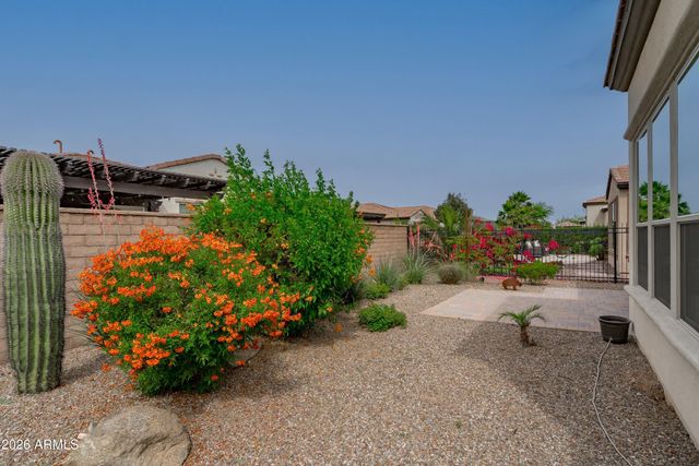264 E Catalina Lane, Queen Creek, AZ 85140