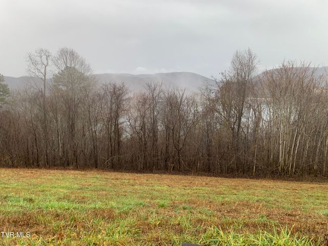 Lot 321 Sapphire Court, New Tazewell, TN 37825