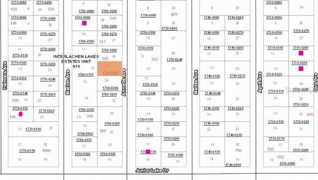 513 ANNETTE AVENUE, Interlachen, FL 32148