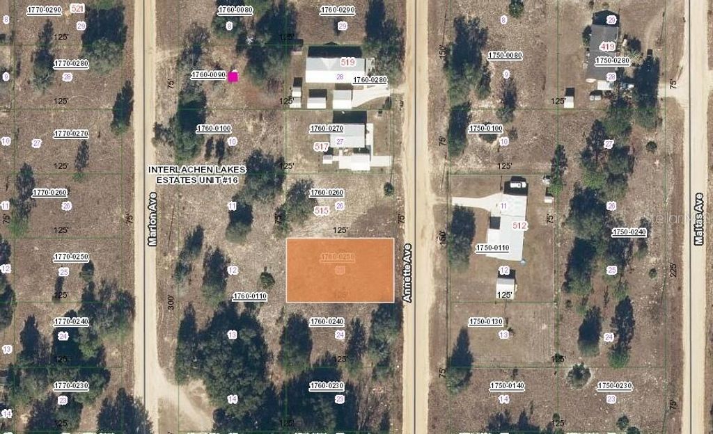 513 ANNETTE AVENUE, Interlachen, FL 32148