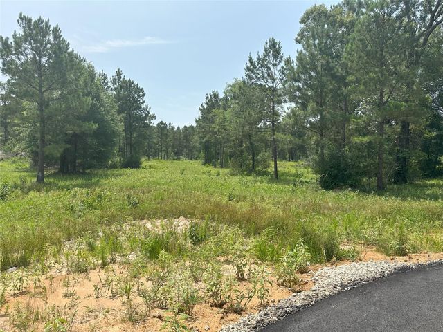 31862 Boone Road, Waller, TX 77484