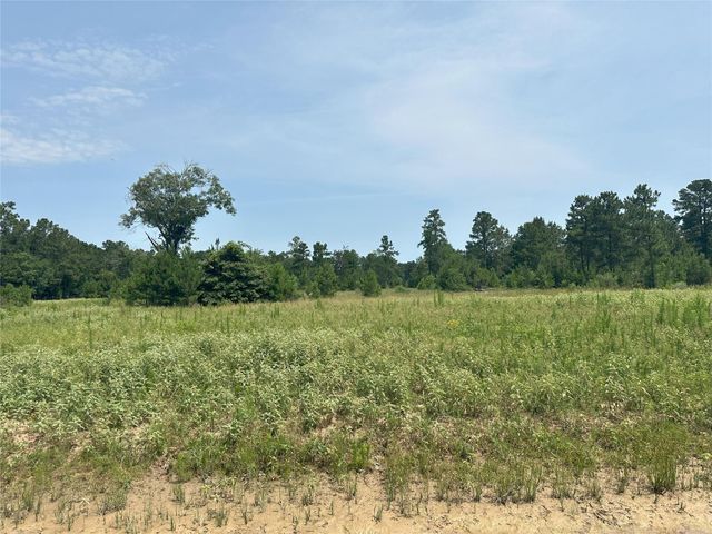 31862 Boone Road, Waller, TX 77484