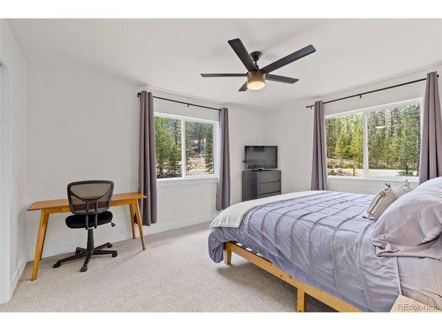 322 Porcupine Rd, Fairplay, CO 80440