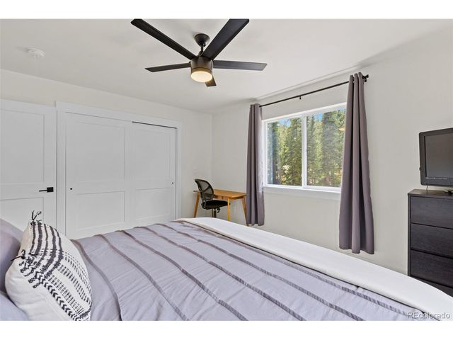 322 Porcupine Rd, Fairplay, CO 80440