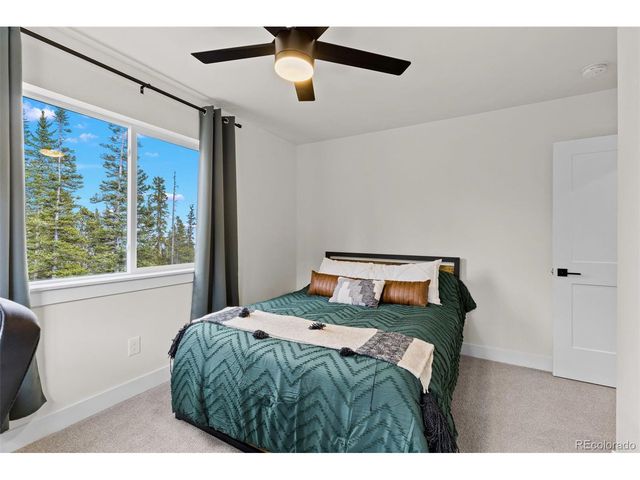 322 Porcupine Rd, Fairplay, CO 80440