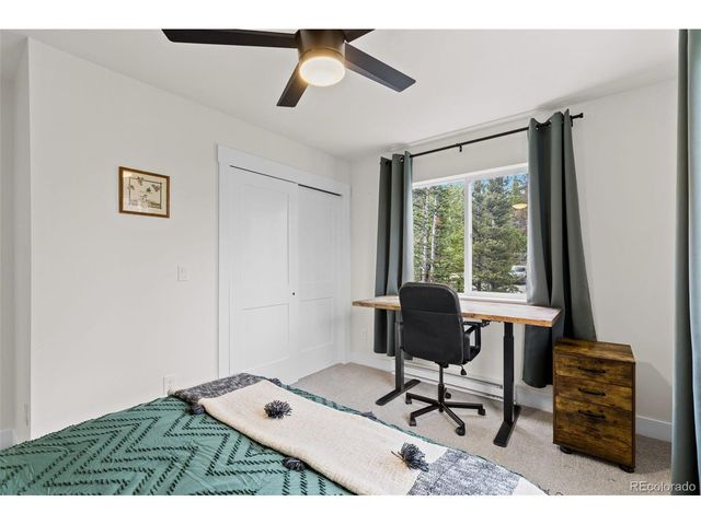 322 Porcupine Rd, Fairplay, CO 80440