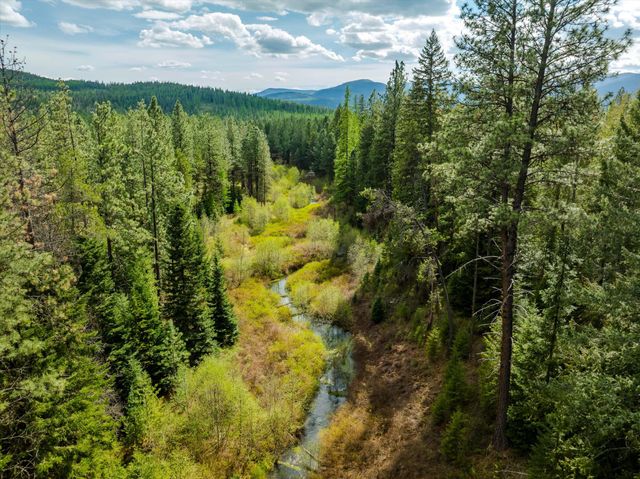 60 Hines Road, Yaak, MT 59935