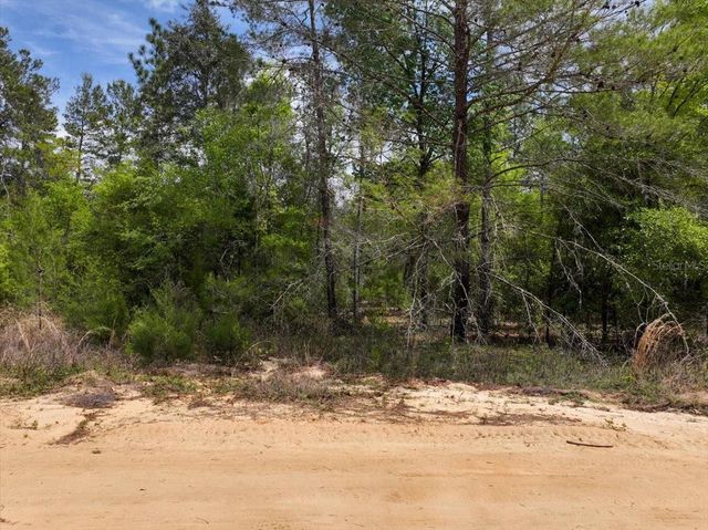 118 PATCH STREET, Interlachen, FL 32148