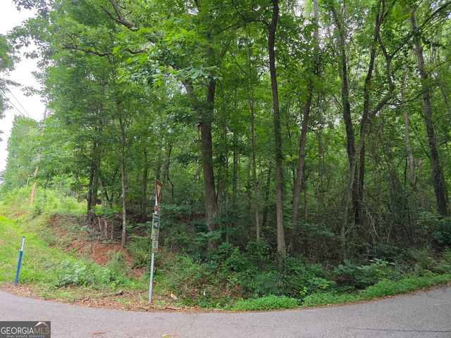 LOT 109 Arrowhead Drive, Lavonia, GA 30553