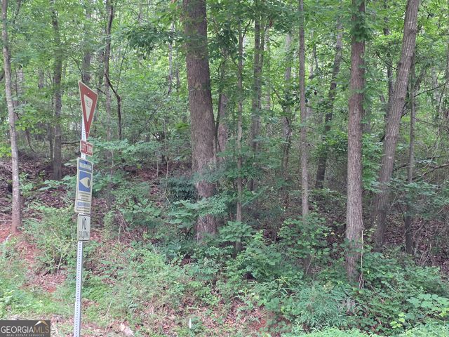 LOT 109 Arrowhead Drive, Lavonia, GA 30553