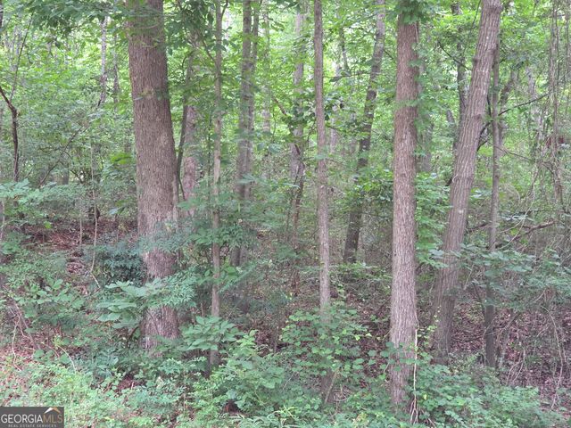 LOT 109 Arrowhead Drive, Lavonia, GA 30553
