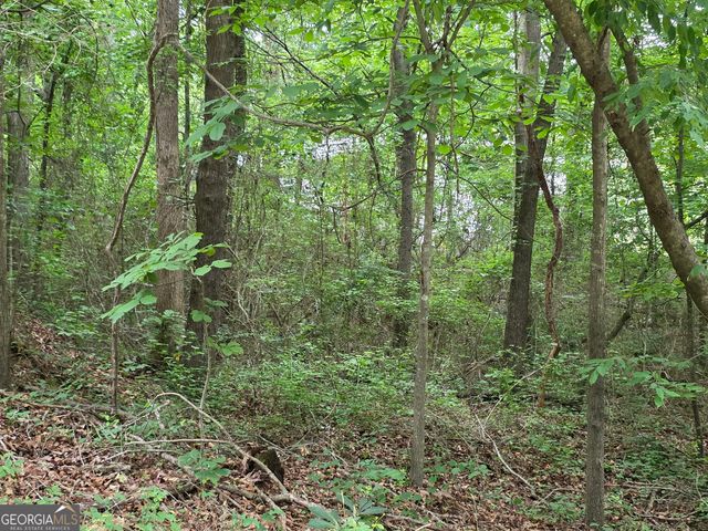 LOT 109 Arrowhead Drive, Lavonia, GA 30553