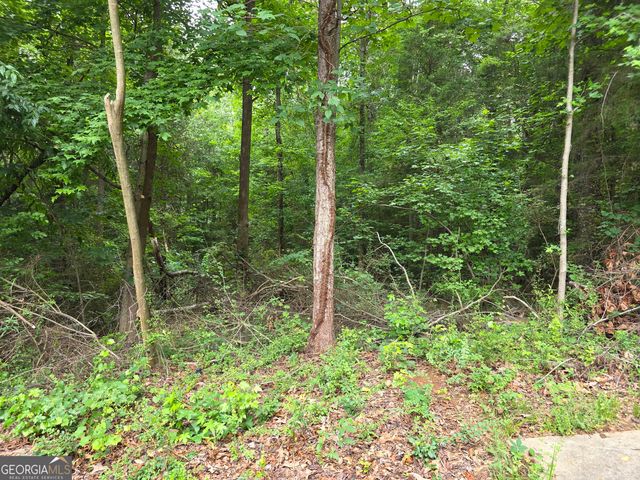 LOT 109 Arrowhead Drive, Lavonia, GA 30553