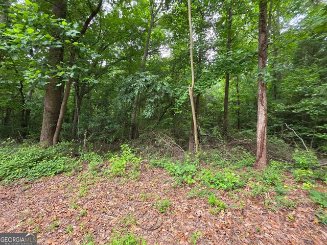 LOT 109 Arrowhead Drive, Lavonia, GA 30553