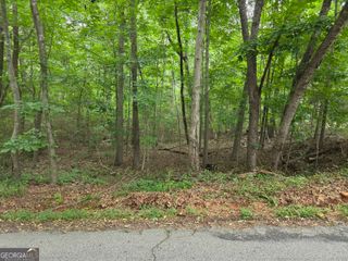 LOT 109 Arrowhead Drive, Lavonia, GA 30553