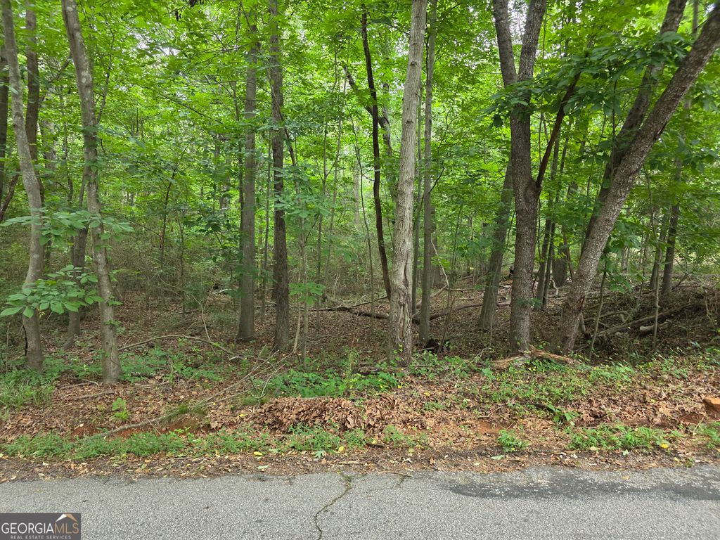 LOT 109 Arrowhead Drive, Lavonia, GA 30553