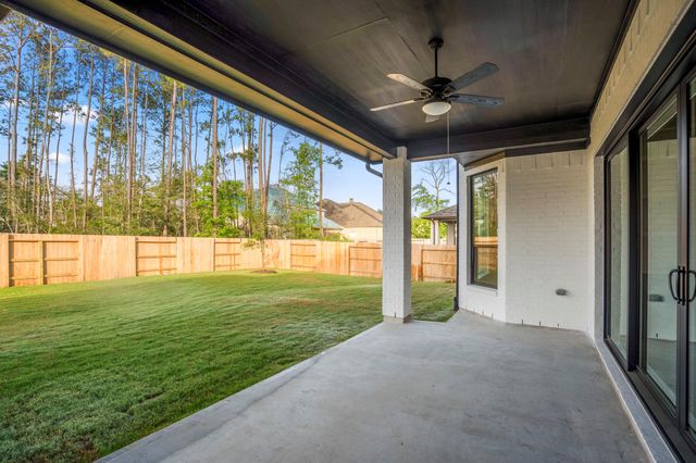 15716 Dandelion Dreams Street, Conroe, TX 77302