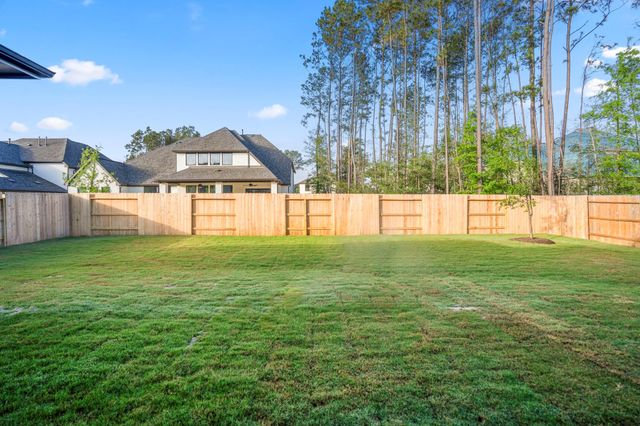 15716 Dandelion Dreams Street, Conroe, TX 77302