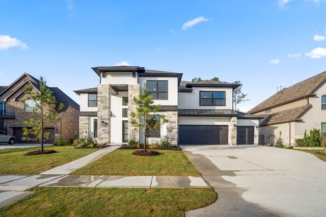 15716 Dandelion Dreams Street, Conroe, TX 77302