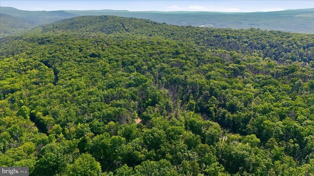 633 HALTERMAN DRIVE, Capon Bridge, WV 26711