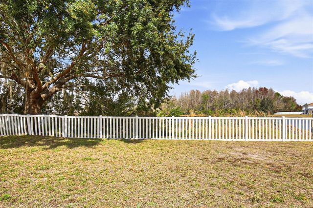 17003 ODESSA DRIVE, Land O Lakes, FL 34638