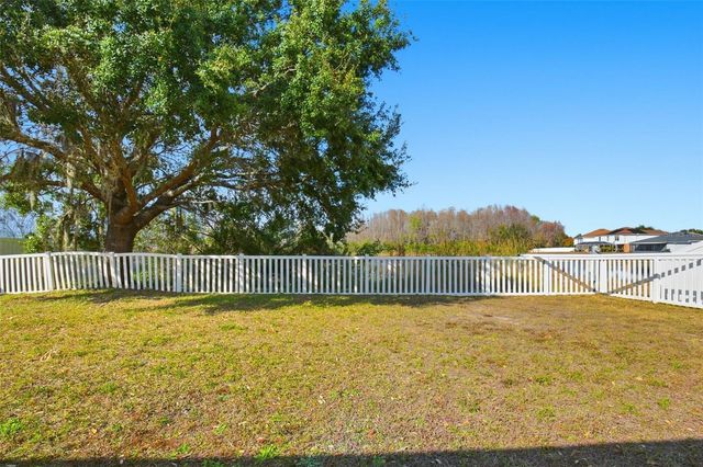 17003 ODESSA DRIVE, Land O Lakes, FL 34638