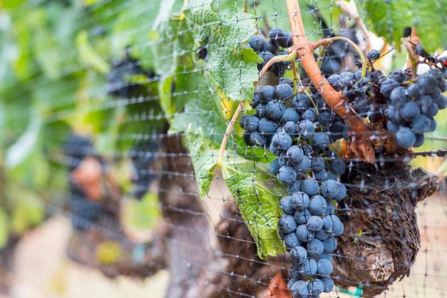 5371 Stonehurst Drive, Martinez, CA 94553