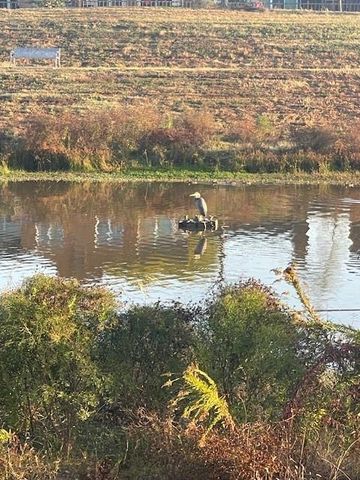 1525 Ramada Drive 1525, Houston, TX 77062