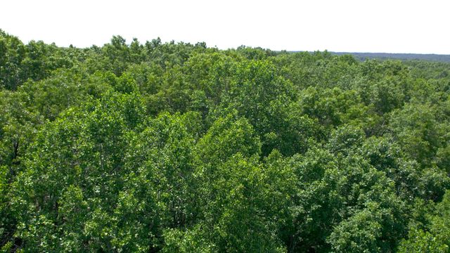 0 Oak Hill, Lyles, TN 37098