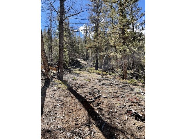 0 County Road 396, Granite, CO 81228