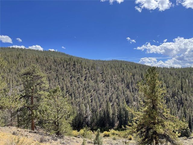 0 County Road 396, Granite, CO 81228