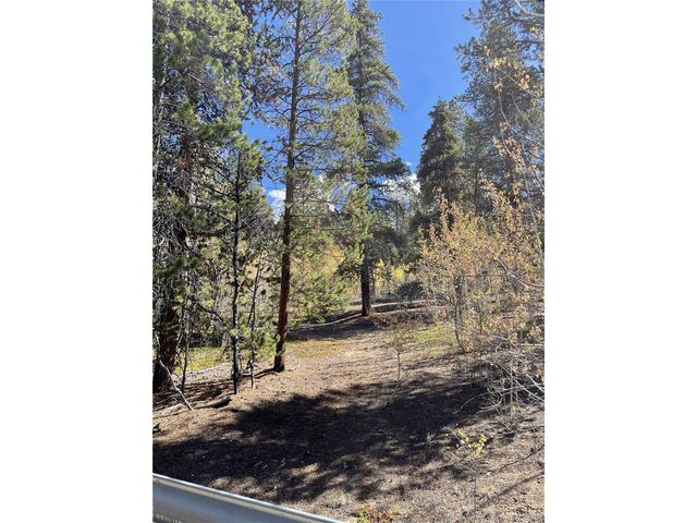 0 County Road 396, Granite, CO 81228