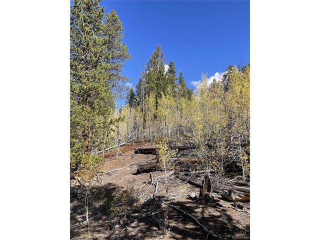 0 County Road 396, Granite, CO 81228
