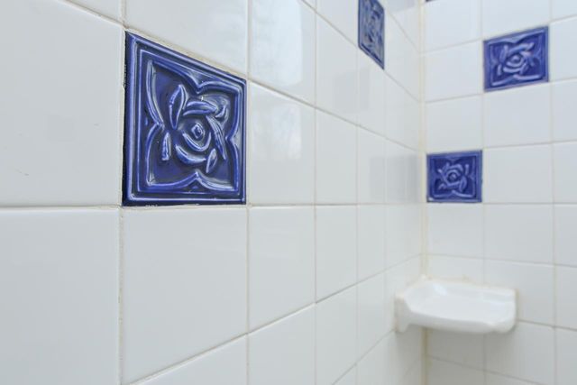 216 S MASON STREET, Appleton, WI 54914