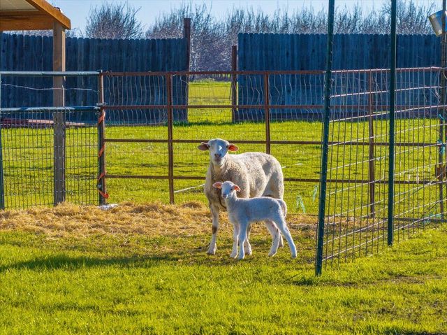 11395 Prairie View Court, Red Bluff, CA 96080