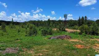 0 GENERAL JACKSON MEMORIAL DRIVE, Sylacauga, AL 35151
