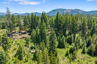 222 Diamond View Rd, Newport, WA 99156