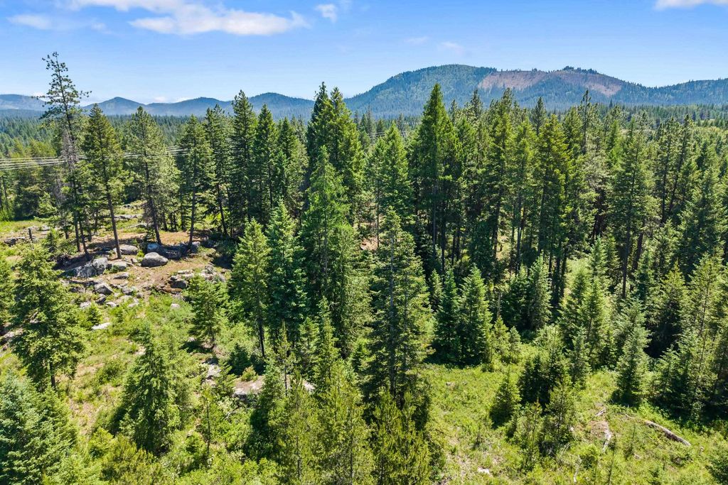 222 Diamond View Rd, Newport, WA 99156