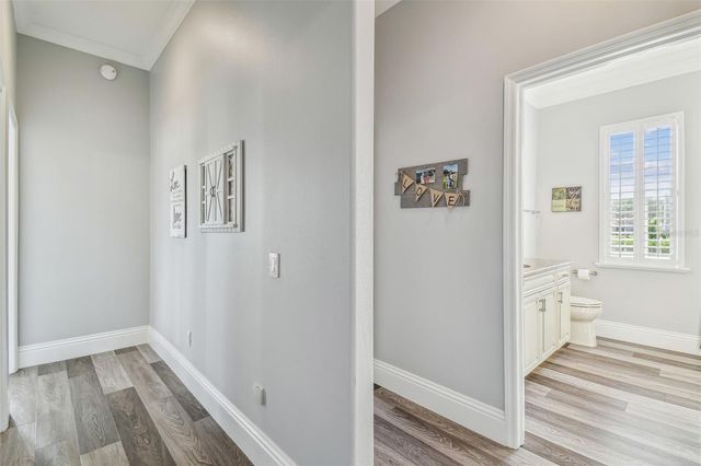 9105 WOODRIDGE RUN DRIVE, Tampa, FL 33647