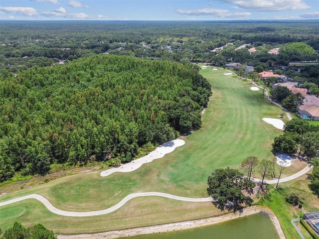 9105 WOODRIDGE RUN DRIVE, Tampa, FL 33647