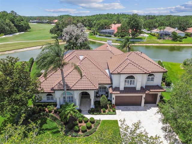 9105 WOODRIDGE RUN DRIVE, Tampa, FL 33647