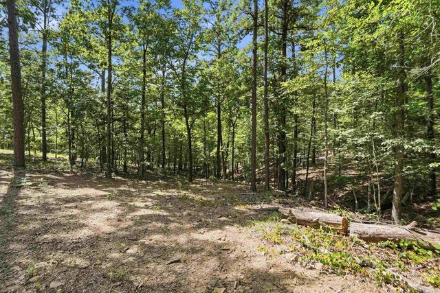 20301 Dwight Little Road, Roland, AR 72135