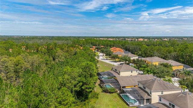 601 ORANGE COSMOS BOULEVARD, Davenport, FL 33837