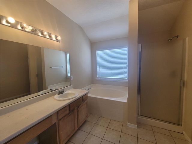 17211 Brookhollow Grove Court, Houston, TX 77084