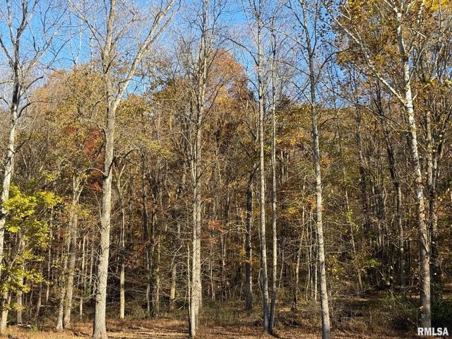 880 S Rocky Comfort Road, Makanda, IL 62958