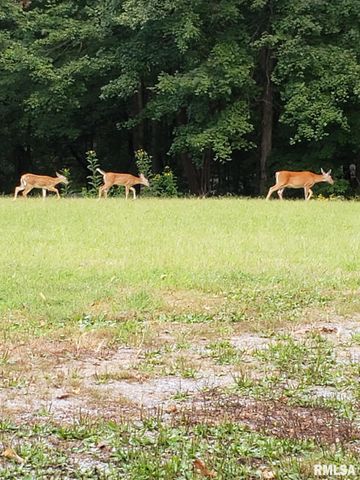 880 S Rocky Comfort Road, Makanda, IL 62958